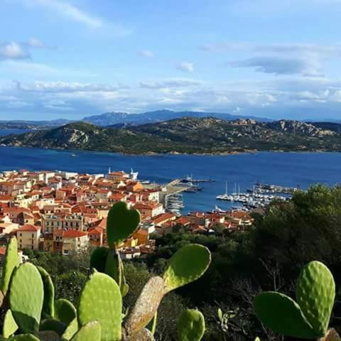 Sweet Home La Maddalena La Maddalena  Exteriör bild